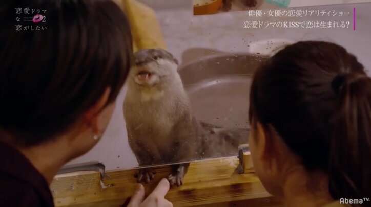 「気になっているからというよりは…」コウの本音にさぶりんショック　『ドラ恋2』act.2