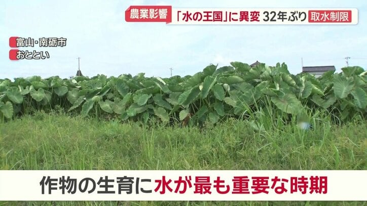 作物の生育に水が最も重要な時期