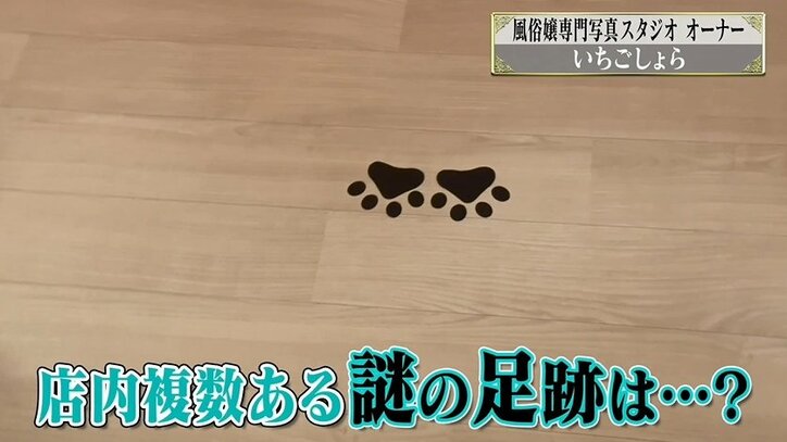 吉原の風俗嬢専門フォトスタジオに潜入！ 修正技術に衝撃「一番はリピートしてもらうこと」