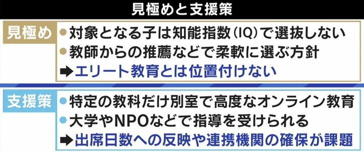 ひろゆき氏「何も変わらないだろうな」文科省が特出した才能の子に学習支援、実現可能性は