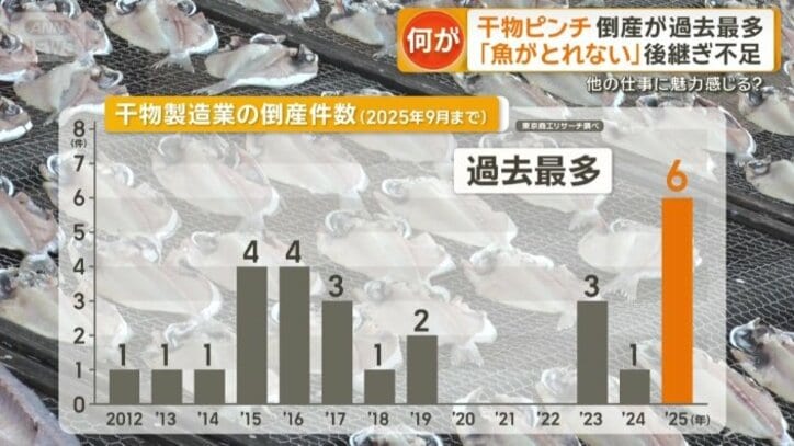 去年は、9月の時点で年間の倒産件数が過去最多を記録