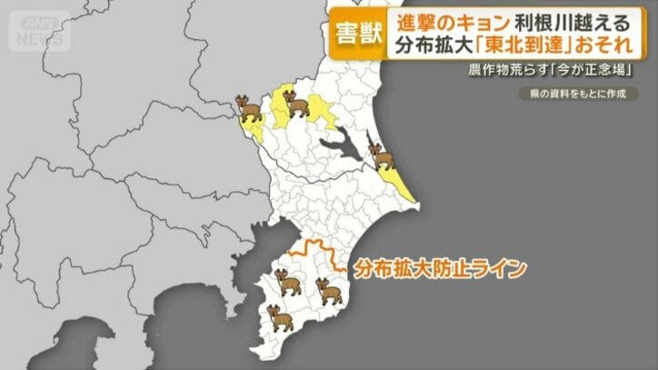 約80キロも離れた茨城県古河市で発見
