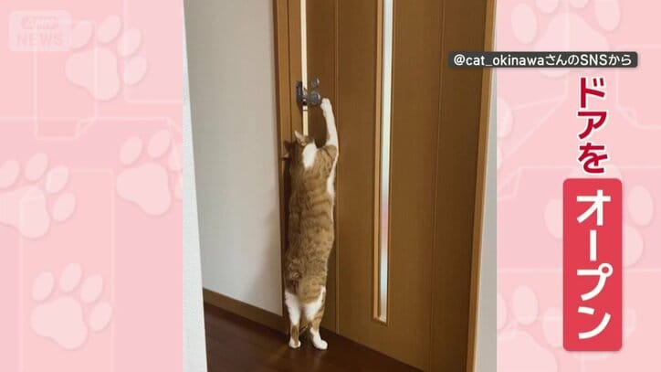 別のドアもオープン！