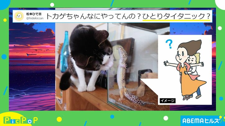 ヤモリが披露した“クセ強”な元気アピールに「ここから先は通さんっ!」「ガードしてるみたいですね」と話題