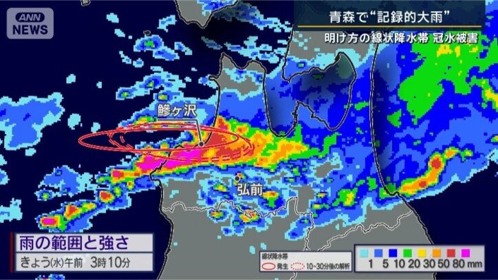 雨の範囲と強さ