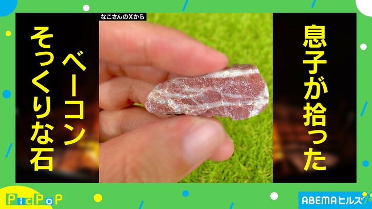 “燻製の匂い”がしてきそうな石