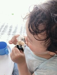 本田朋子『お散歩帰りに』