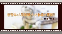 世界中の人気話題ペット動画大集結!! by mofmo | AbemaTV