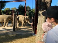 小林よしひさ『初！上野Part2』