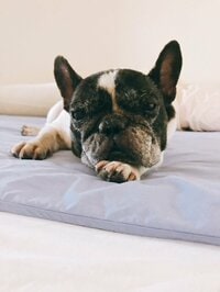 松居直美『更年期の準備』