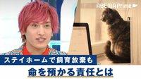 ステイホームで需要増も...ペットの飼育放棄のリアル 保護犬猫の選択肢は?