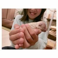 辻希美『おはよう（╹◡╹）』