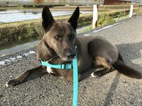 坂上忍『大きな区切り』