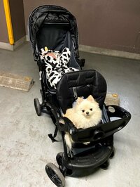 やしろ優『赤ちゃんファースト』