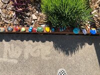 野沢直子『子供のアート』