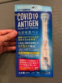 市川海老蔵『家で抗原検査』