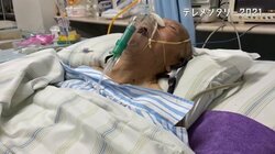 SNSの凍結、尾行、盗聴も…新型コロナウイルス対策に疑いの目を向ける武漢市民に当局の容赦ない圧力