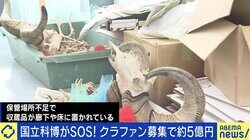 壊れたままのエアコン、館長室にはカビ…クラファンで5億円の国立科博、副館長が語る涙ぐましい努力と「コレクションを守る意義」もっと税投入すべき？