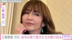 工藤静香（55）、“すんごい豪邸”と話題の自宅庭で愛犬たちが駆け回る様子に「落ち葉ですらステキな立派なお庭」「公園だね！」の声