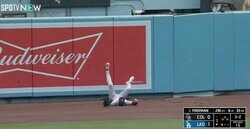 大丈夫か…？ 外野手がフェンス際でぶっ倒れた…！？ 特大アーチをキャッチしたスーパープレーから一転… 絶望リアクションが話題に「惜しすぎる」「落ち込み方ハンパないw」