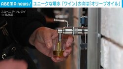「オリーブオイルの噴水」誕生！地中海を代表する特産品を楽しむ スロベニア