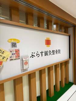 堀ちえみ、鍼灸院での施術後の変化を報告「身体がポカポカして」 