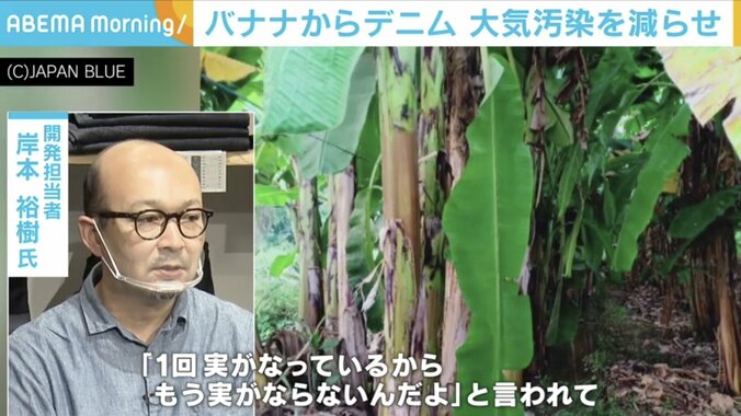 バナナからデニム!? 軽量＆高い通気性と吸湿性も 開発のきっかけは「年間10億トン超の廃棄物」 2枚目