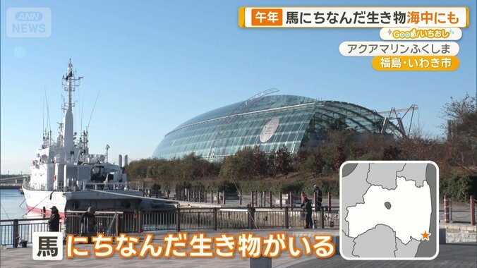 福島県いわき市「アクアマリンふくしま」