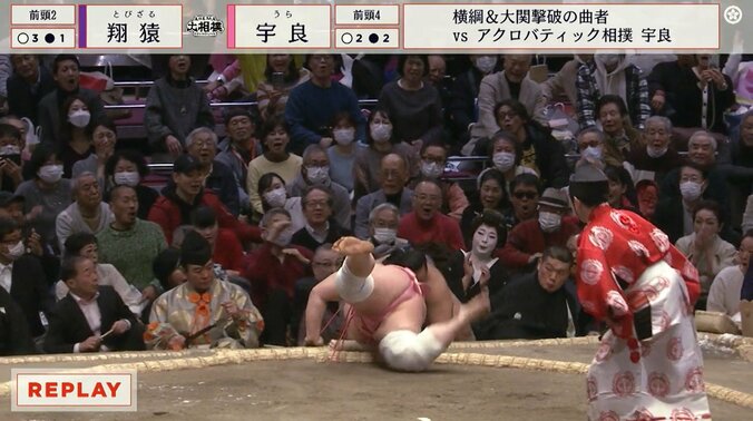 翔猿が土俵下に転落