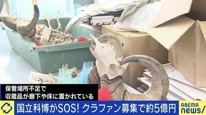 壊れたままのエアコン、館長室にはカビ…クラファンで5億円の国立科博、副館長が語る涙ぐましい努力と「コレクションを守る意義」もっと税投入すべき？ 1枚目