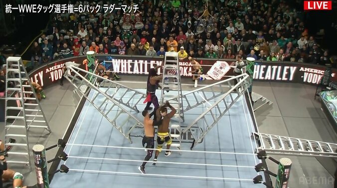 【写真・画像】【画像】高さ約5メートルのラダーで衝撃技の数々（複数）　2枚目