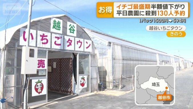 越谷いちごタウン