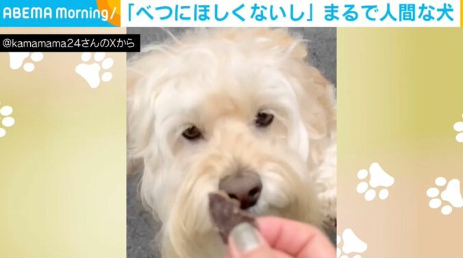 犬のかまぼこくん
