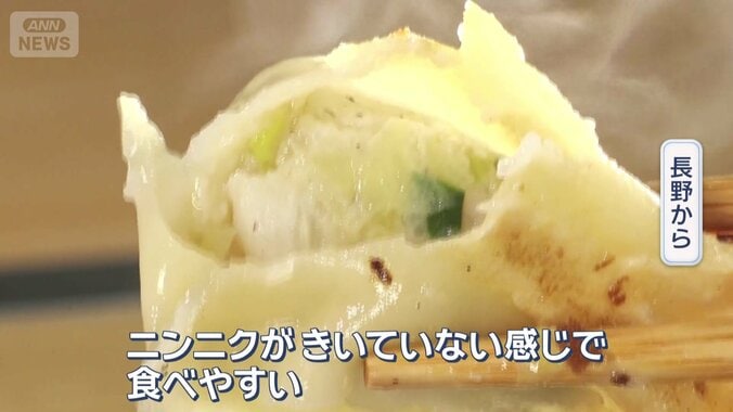 宇都宮名物のギョーザ