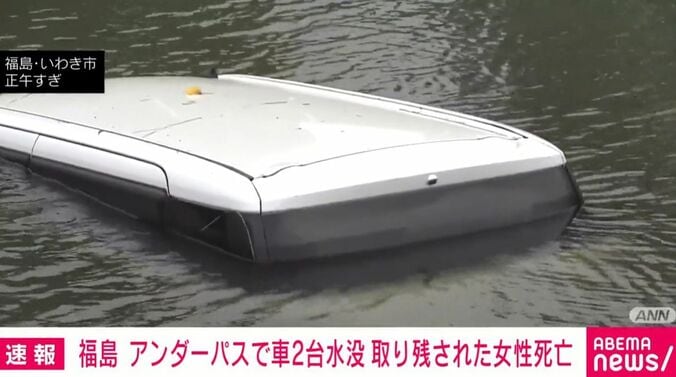 水没した車