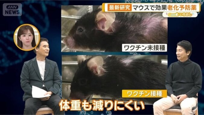 マウスにワクチンを打つと…