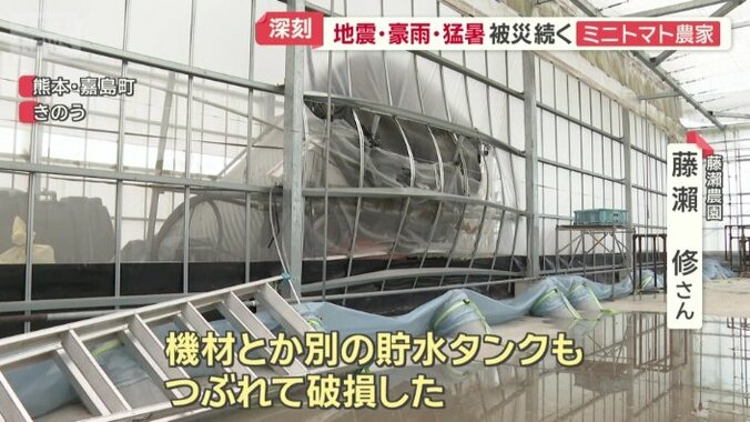 ハウスを突き破る