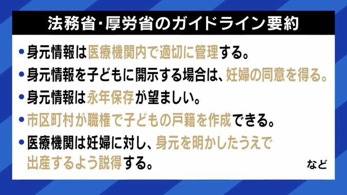 法務省・厚労省のガイドライン（要約）