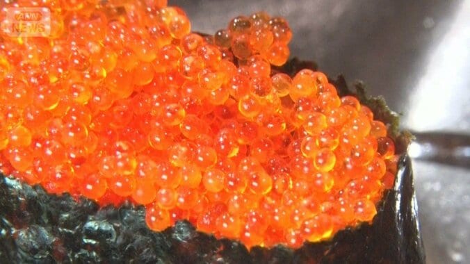 イクラが歴史的高騰　格安トビコに注目集まる　プチプチ感は海外でも人気、輸出5倍に 1枚目
