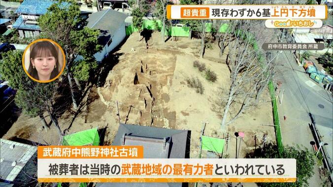 東京で古墳にコーフン！初心者必見、都内珠玉！3つの古墳ツアー 1枚目