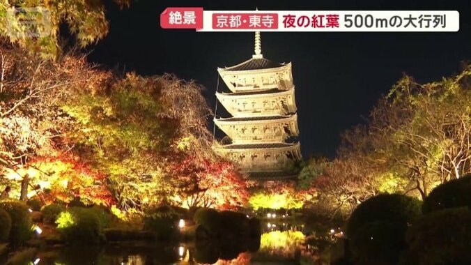 夜になると境内の各所がライトアップされる