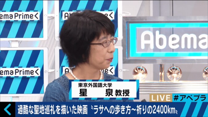 両手・両ひざ・ひたいを地面につけながら2400kmを進む　過酷なチベットの聖地巡礼とは 2枚目
