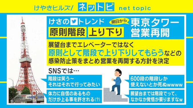 「展望台までは原則階段」東京タワー、営業再開を決定 600段の外階段で夜景鑑賞も 1枚目