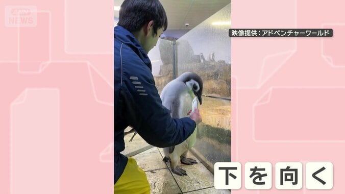 食べずに下を向く