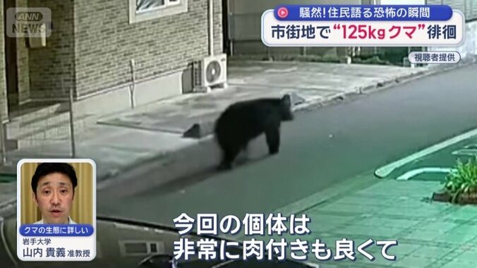 「異例の大きさ」だと指摘