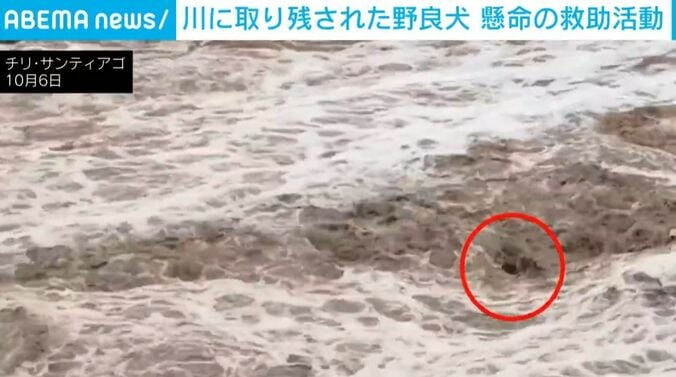 モロチョ