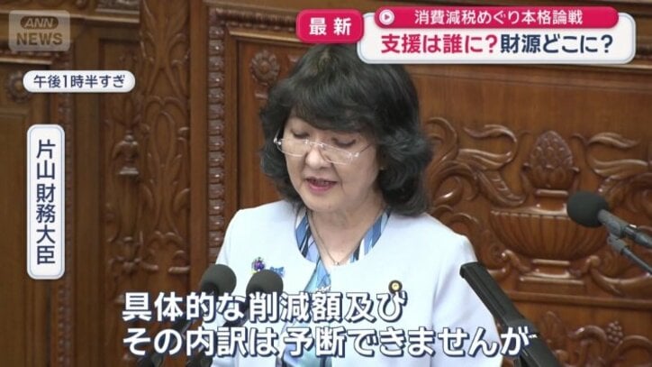 「日本版DOGE」で税優遇措置や補助金見直しを進めているが…