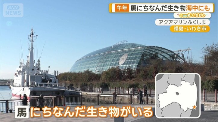 福島県いわき市「アクアマリンふくしま」