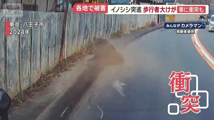 車のドライブレコーダーの映像