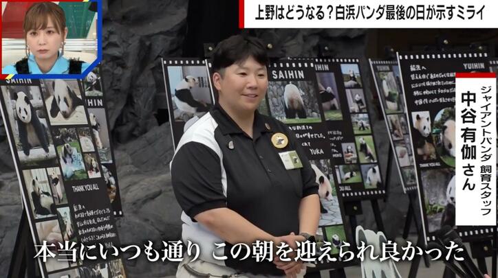 【写真・画像】白浜パンダ4頭が“涙の別れ”...飼育員の言葉にファン感動　地域経済や竹林整備に貢献も　1枚目